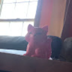 Meet your Posher, Charles